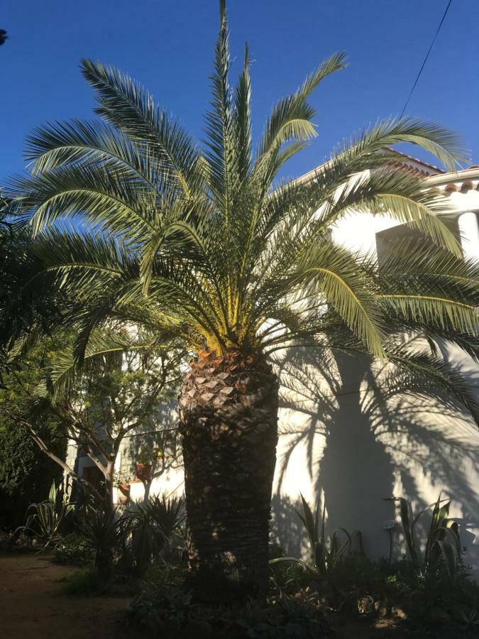Rez De Villa Pebrier Fréjus エクステリア 写真
