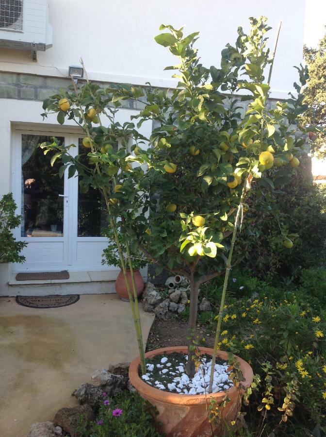 Rez De Villa Pebrier Fréjus エクステリア 写真